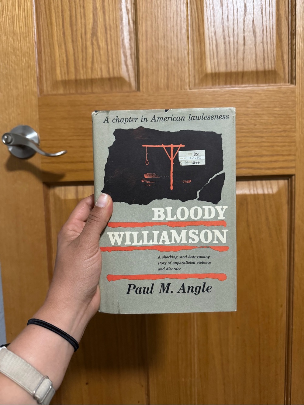 Bloody Williamson by Paul M. Angle | 1983 Vintage Hardcover